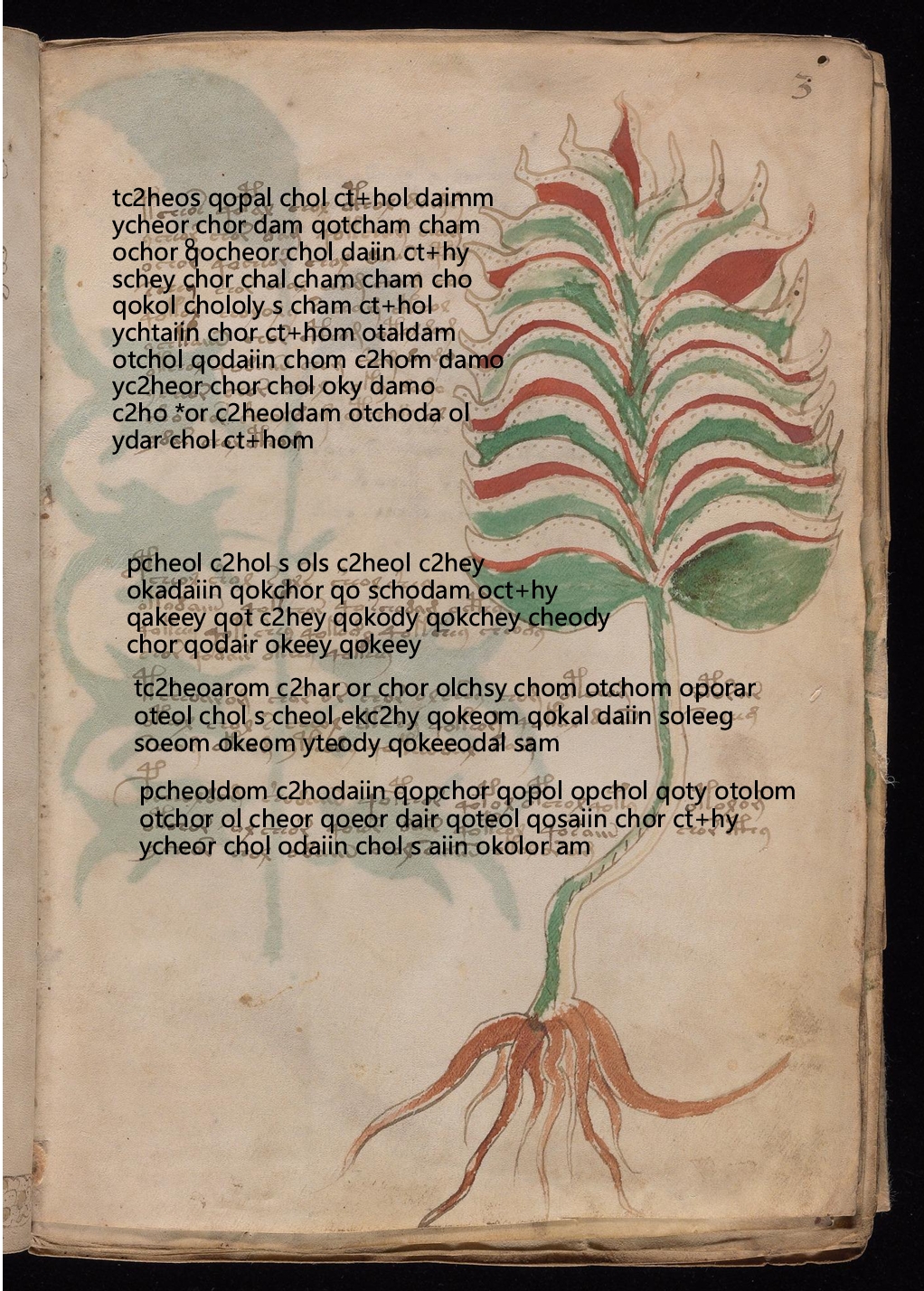 Folio 3r glyph overlay on parchment